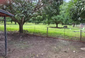 Income-Ready Farm Lot for Sale in San Juan, Batangas: 1.5 Hectares with Rest House!