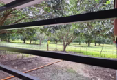 Income-Ready Farm Lot for Sale in San Juan, Batangas: 1.5 Hectares with Rest House!